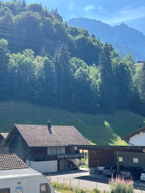 Grosszügige 4.5-Zimmer-Wohnung mit Wintergarten zur Miete in Kandergrund 17