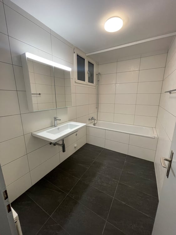 Grosszügige 3-Zimmerwohnung mit grosser Loggia nähe Insel zu vermieten 8