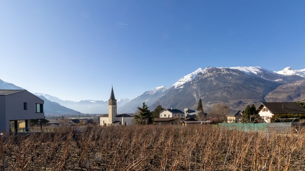 MAGNIFIQUE VILLA 1.5 PCES A RIDDES 3