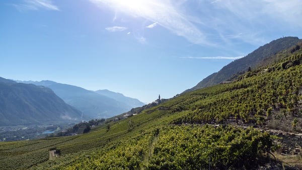 MAGNIFIQUE ATTIQUE 1.5 PCES A LENS 3