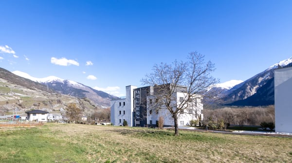 MAGNIFIQUE APPARTEMENT 2.5 PCES A SALQUENEN 4