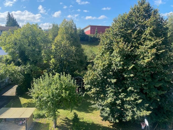 3.5 Zimmerwohnung mit Balkon und Blick auf den Garten 6