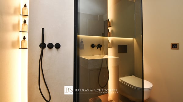 Luxueux 1.5 pièces entièrement rénové et meublé 10