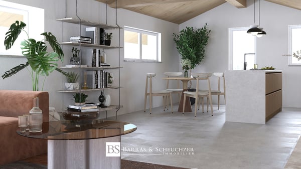 Magnifique duplex en attique de 4.5 pièces 3