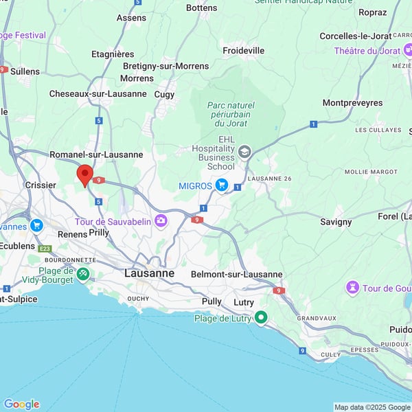 40 min. from Geneva. In a prestigious place Master house for sale above Lausanne. a beautiful garden 6