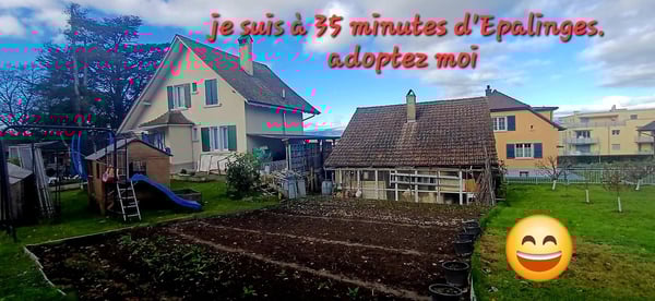 Payerne. À 35 d'Epalinges. ndividuelle bourgeoise de 2 appart. 1.5+3.5 2