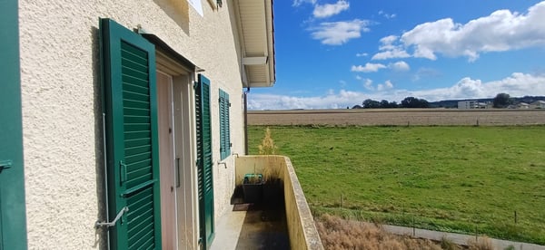Ferme à grand potentiel. Pour famille ou investisseur. 4700 m2 12