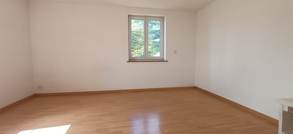 Ferme à grand potentiel. Pour famille ou investisseur. 4700 m2 11
