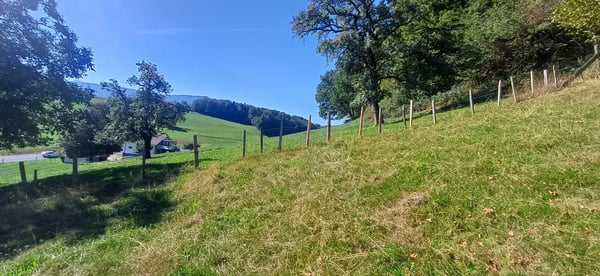 À 7 minutes de Fribourg, St-Ours ferme à rénover à vendre 3