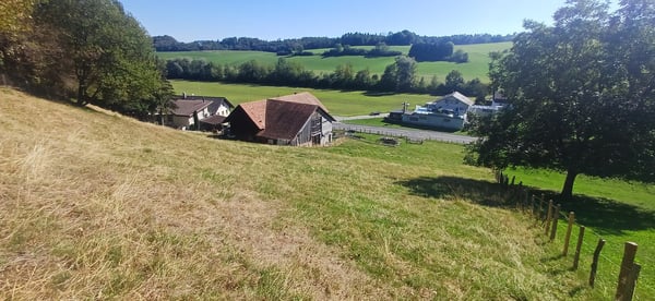 À 7 minutes de Fribourg, St-Ours ferme à rénover à vendre 10