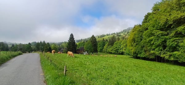 Ancienne colonie de vacances avec vue panoramique à Villard-sur-Chamby 15