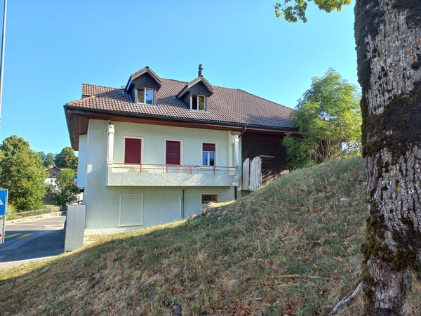 A vendre: Maison avec magasin et deux appartements 3