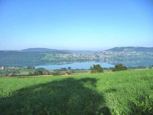 3.5 Zimmer Dachwohnung mit Loggia See/Bergsicht 11