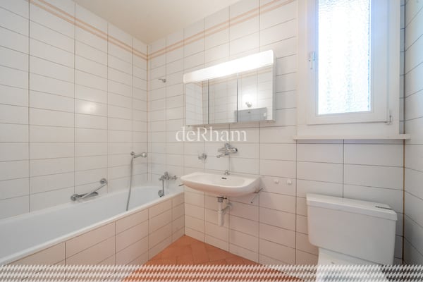 Propriété de 390 m² Magnifique vue sur le Léman 8