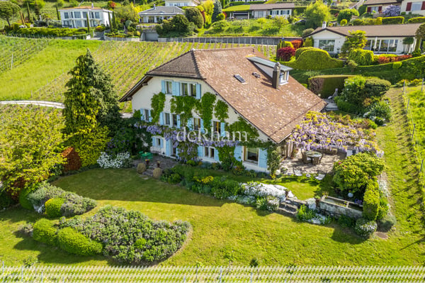 Maison vigneronne de charme Au coeur des vignes Vue sur le Léman 1