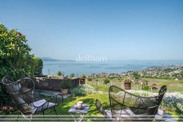 Maison vigneronne de charme Au coeur des vignes Vue sur le Léman 9
