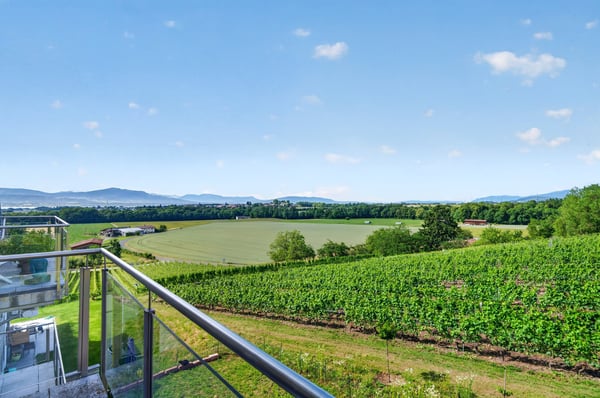 Spacieux duplex de 4,5 pièces Au coeur des vignes, vue Lac et Alpes 7