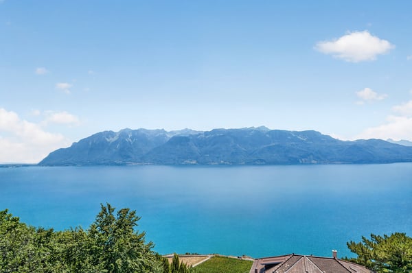 Appartement de 5.5 pièces Magnifique vue lac 10