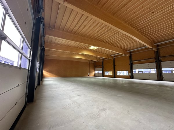 Moderne Gewerbehalle in Studen zu vermieten! 6