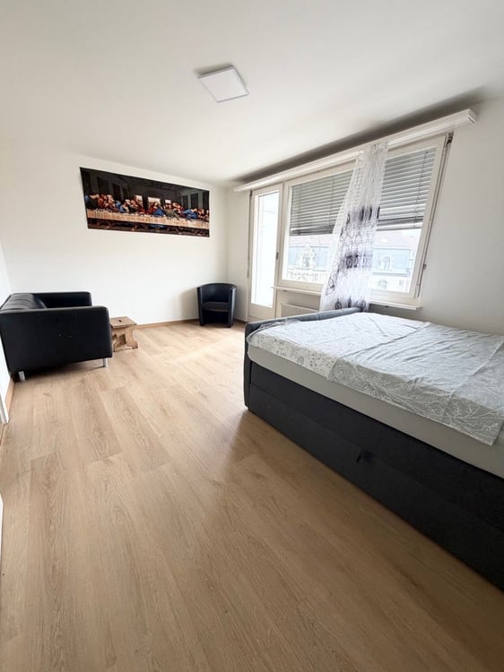 1 Zimmer Wohung zu Vermieten 4