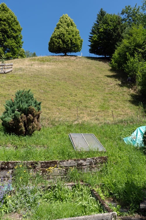 Familienfreundliches Zuhause mit Garten und Balkon 10