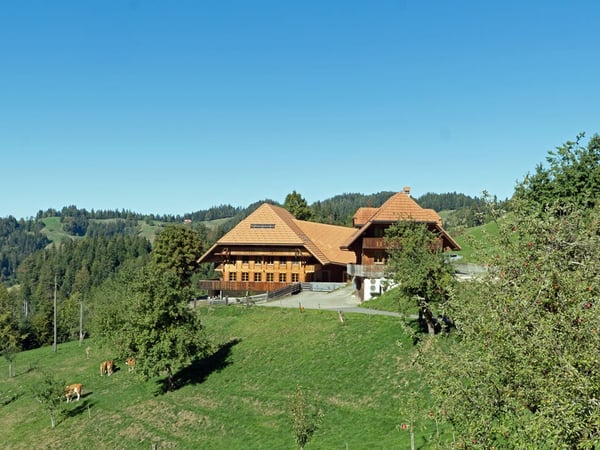 Neuwertiges 6.5 Zimmer Bauernhaus mit zwei Wohnungen und Weitsicht 2