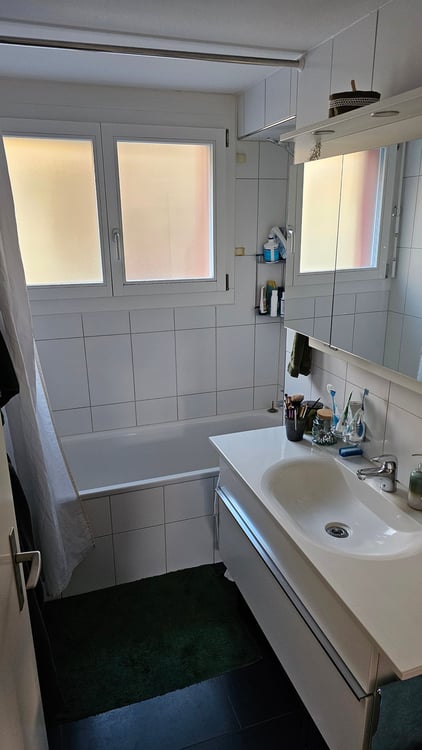 schöne und helle 1.5-Attikazimmerwohnung mit Aussicht auf die Aare 5