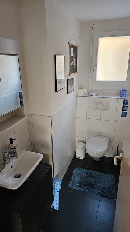 schöne und helle 1.5-Attikazimmerwohnung mit Aussicht auf die Aare 4