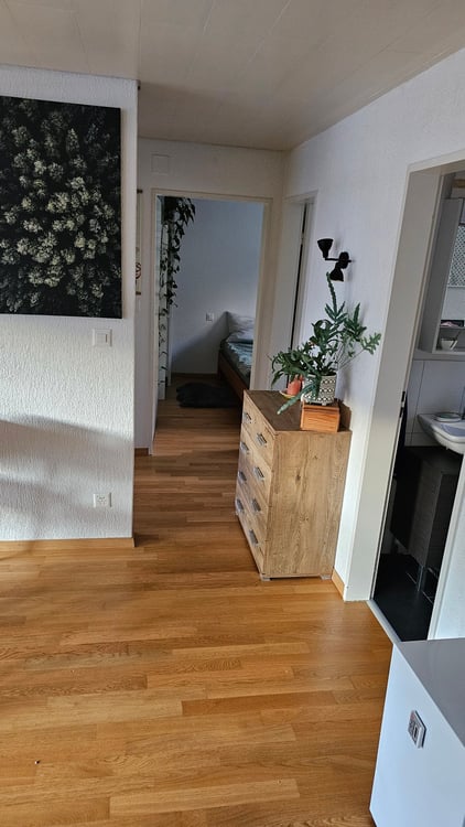 schöne und helle 1.5-Attikazimmerwohnung mit Aussicht auf die Aare 8