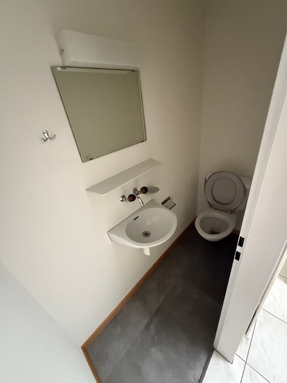 renovierte Wohnung in Brügg 8