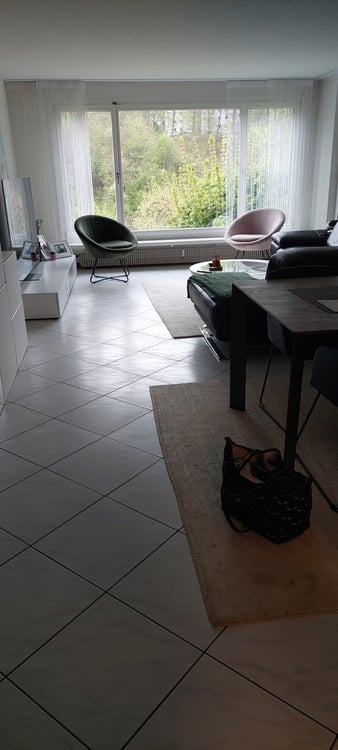 schöne und helle 4.5-Zimmerwohnung mit Aussicht auf die Aare 6
