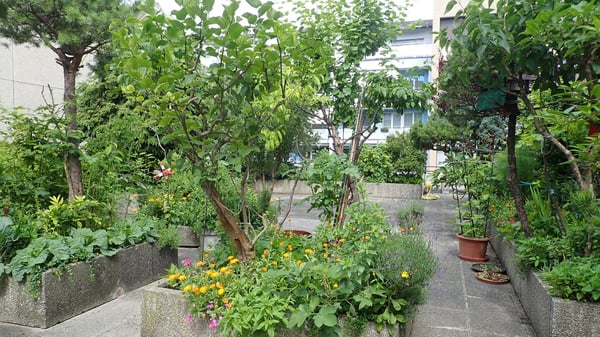 Bern-Länggassquartier, zu vermieten-helle 2.5-Zimmer-Wohnung mit grosszügigem Sitzplatz! 8