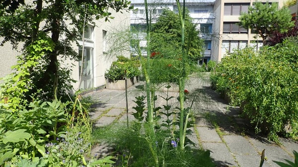 Bern-Länggassquartier, zu vermieten-helle 2.5-Zimmer-Wohnung mit grosszügigem Sitzplatz! 7