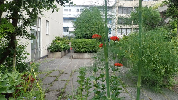 Bern-Länggassquartier, zu vermieten-helle 2.5-Zimmer-Wohnung mit grosszügigem Sitzplatz! 10