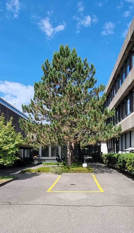 Repräsentative Industriehalle 550m2 3