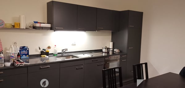 grosszügiges Loft mit separatem Schlafzimmer 2