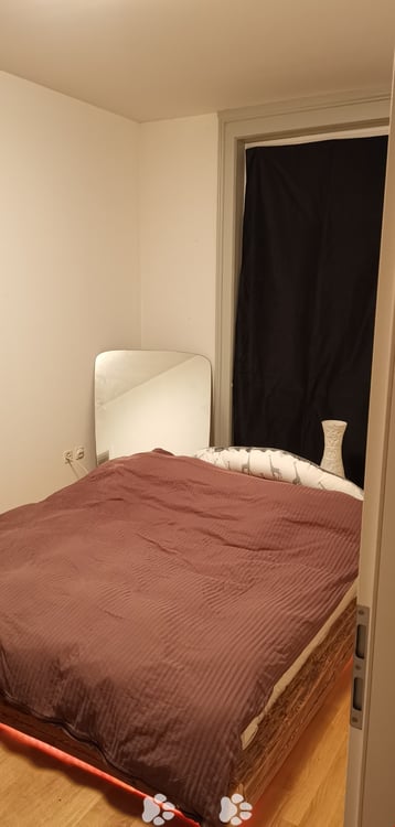 grosszügiges Loft mit separatem Schlafzimmer 4