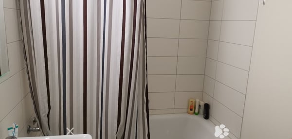 grosszügiges Loft mit separatem Schlafzimmer 6