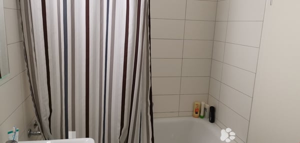 grosszügiges Loft mit separatem Schlafzimmer 6