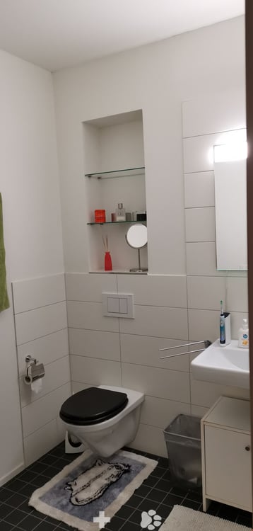 grosszügiges Loft mit separatem Schlafzimmer 5
