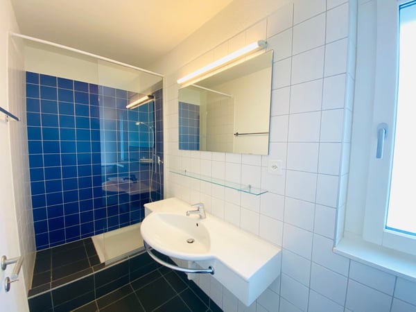 1.5-Zimmer-Attika-Wohnung mit Terrasse im Stadtzentrum 8