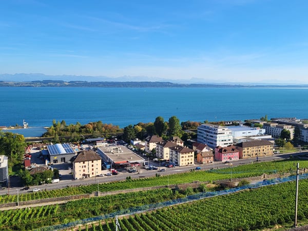Magnifique appartement de 1.5 pièces avec vue panoramique sur le lac et les Alpes 10