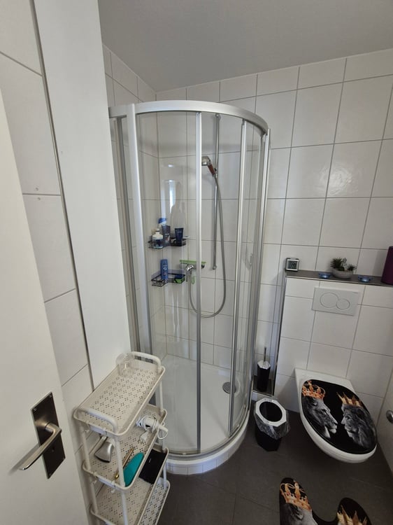 Charmante 1-Zimmer-Wohnung mit Balkon in Grenchen 2