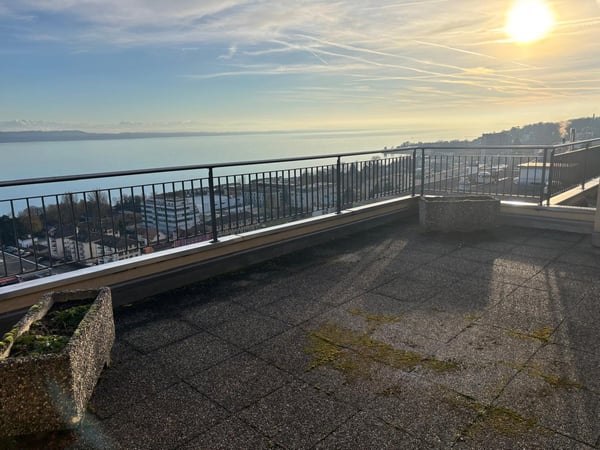 Magnifique appartement de 1.5 pièces avec vue panoramique sur le lac et les Alpes 12