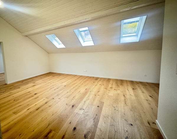 Aussergewöhnliche 1.5-Zimmer-Dachwohnung an erhöhter Lage in Grenchen 4