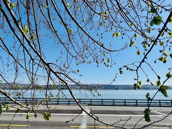 Aussergewöhnliche Loftwohnung mit Blick auf den Bielersee, ca. 130m1 12