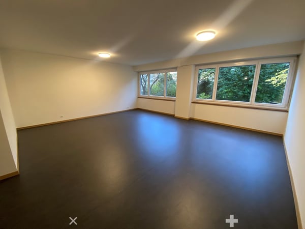 Grosse 3-Zimmer-Loftwohnung mit Sicht in den Stadtpark 1