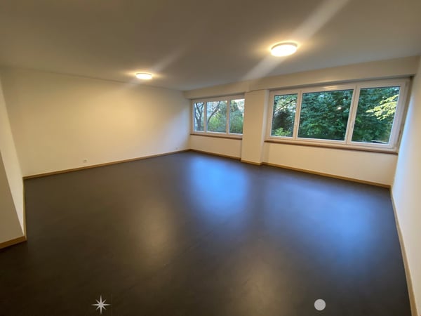 Grosse 2-Zimmer-Loftwohnung mit Sicht in den Stadtpark 1