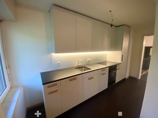 Grosse 3-Zimmer-Loftwohnung mit Sicht in den Stadtpark 2