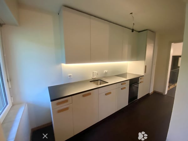 Grosse 2-Zimmer-Loftwohnung mit Sicht in den Stadtpark 2